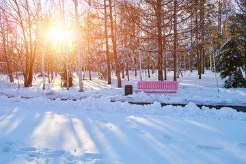 Park bench in winter against the background of the evening sunset.