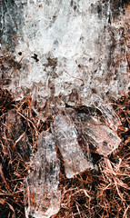 Spring ice surface.