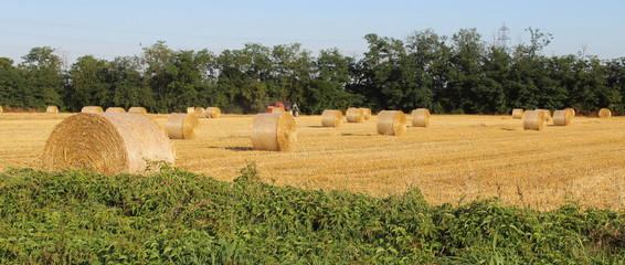 Balle di fieno in campagna in una giornata estiva