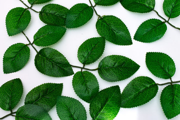 green leaves background