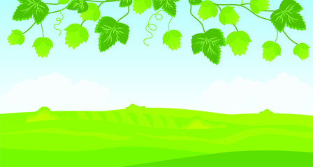 Green summer landscape. Branch with hop cones. Vector illustration.