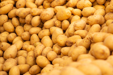 potatoes laid out on the counter for sale in the organic market