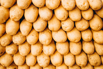 potatoes laid out on the counter for sale in the organic market