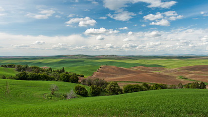 Obraz premium landscape with green field and blue sky