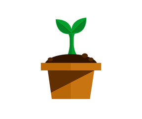 Plant pot illustration vector in white isolated background 