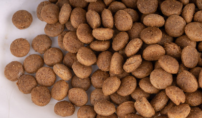 Dry food in right corner on white background. Close up of useful pet food. Concept of space for your text.