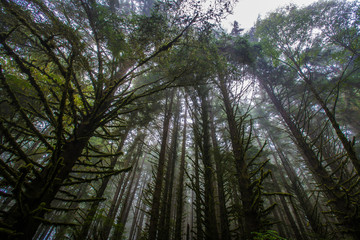 Pacific Northwest Photography