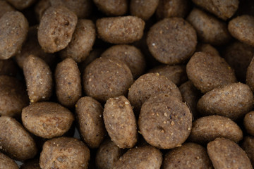 Fototapeta na wymiar Texture of dry food. Close up of useful pet food. Concept of background for your text.