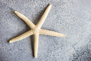 Summer card concept with sea stars