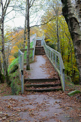 Pasarela en el monte