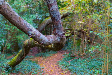 Monte Ulia, Donostia San Sebastian
