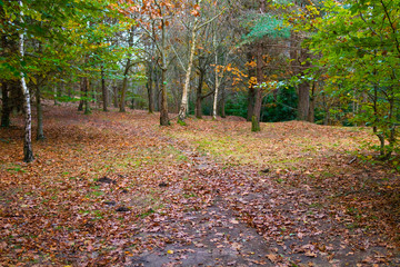 Monte Ulia, Donostia San Sebastian