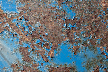 shabby, blue dried paint on the old rusty iron
