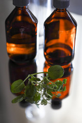 Brown transparent bottles with green sprouts on a mirrored table