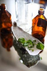 Brown transparent bottles with green sprouts on a mirrored table