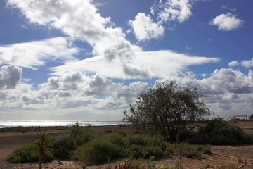 Fototapeta na wymiar Caleta de Fuste, Fuerteventura