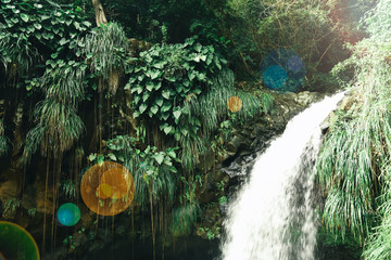 Tropical Waterfall On The Caribbean Island