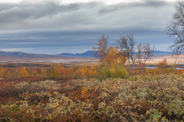 autumn view of Sarek National Park, Lapland, Norrbotten County, Sweden, near border of Finland, Sweden and Norway. selective focus