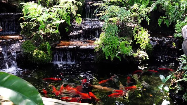 Waterfalls and fancy fish pond gardens Prepared in the garden of the house. By imitating the nature beautifully and using ornamental plants to grow, Thailand