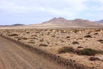 Fuerteventura - obrazy, fototapety, plakaty