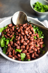 Traditional georgian lobio dish