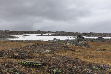 autumn view of Sarek National Park, Lapland, Norrbotten County, Sweden, near border of Finland, Sweden and Norway. selective focus