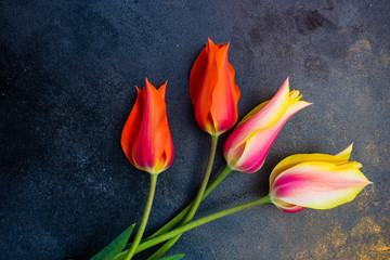 Tulip flowers on concrete background with copy space