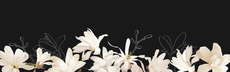 Floral banner, header with copy space. White magnolia isolated on dark grey background. Natural...