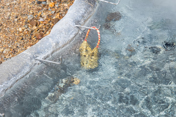 boil egg hungry in boil pool