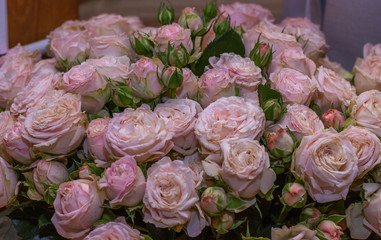 Rose bouquet. Beautiful nature flower backgrounds. Pastel and soft bouquet floral card. Birthday, Mother’s day, Woman’s day.