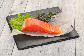 Piece of raw salmon
