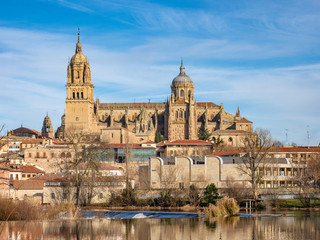 Salamanca cathedral with reflection on the river