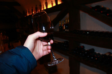 Tasting wine at a cellar 