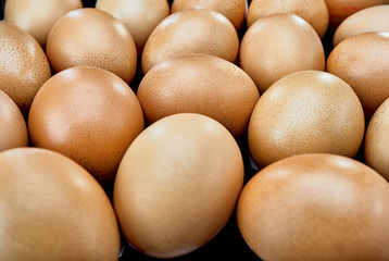 Golden eggs photographed on a black background in the studio