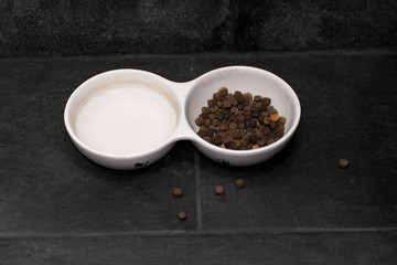 cat food and water in a white bowl in a dark room with dark gray stone tiles top view
