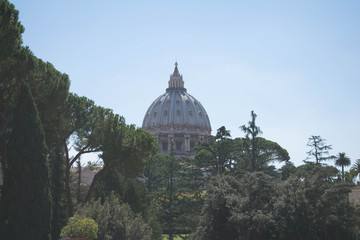 Fototapeta premium Vatican City