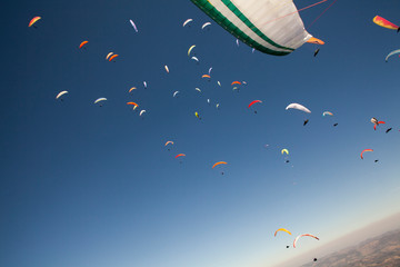 many paragliders flying together in beautiful sunny day