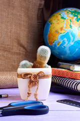 Desk with little cactus flower in flowerpot, globe, scissor, stationery and notebooks on wooden background. Workplace, lifestyle concept