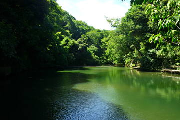 池　神奈川県三浦市南下浦の風景
