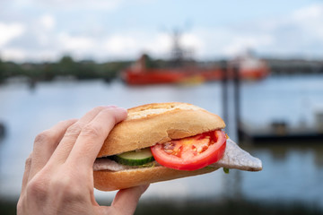 Man eating typical North German fish bun with herring, onions, cucumber and a tomato - in the background the Hamburg harbour with large container ships can be recognized although blurred through