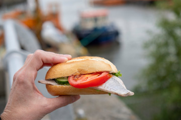 Man eating typical North German fish bun with herring, onions, lettuce, cucumber and a tomato - in...