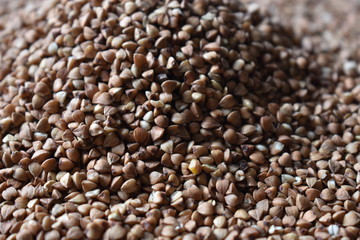 colse up of buckwheat