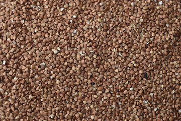 colse up of buckwheat