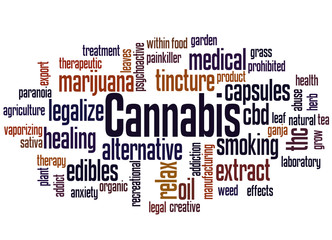 Obraz premium Cannabis word cloud concept