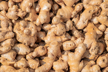 Fresh organic ginger on market.Ginger is an herb.Ginger is used for cooking food and beverages.