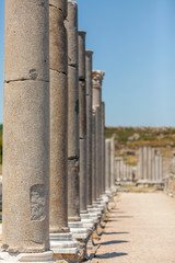 Ruins of ancient roman Agora of Perge, Antalya