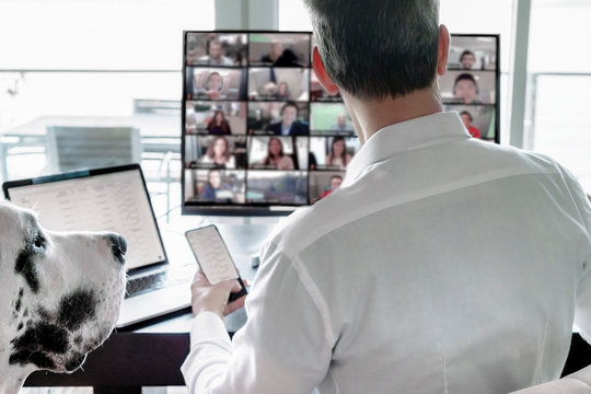 Businessman using virtual meeting technology while home with pet dog. 
