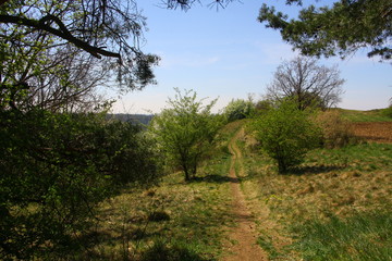 frühling