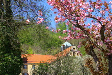 frühling