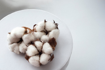 cotton on a white background